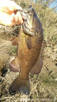 ���⡼��ޥ����Х�