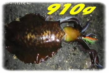 �����ꥤ��