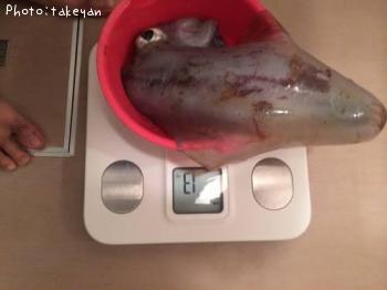 �����ꥤ��