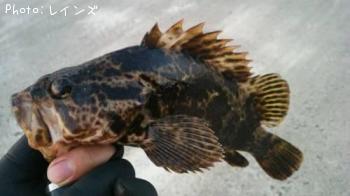 �����Υ���Х�