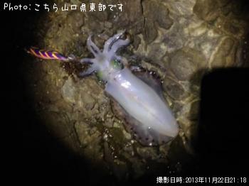 �����ꥤ��