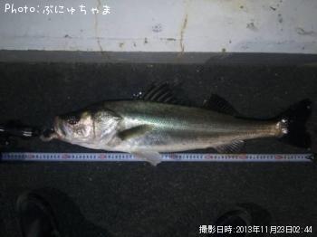 �����Х�