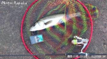 �����Х�