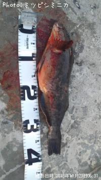 �����ʥ�