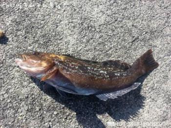 �����ʥ�