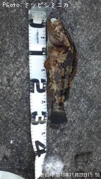 ¥¿¥±¥Î¥³¥á¥Ð¥ë