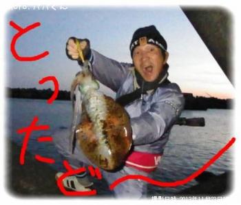 ¥¢¥ª¥ê¥¤¥«