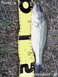 �֥�å��Х�