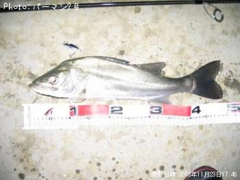 �����Х�