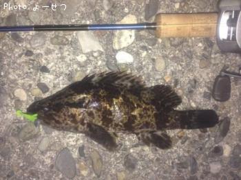 ¥¿¥±¥Î¥³¥á¥Ð¥ë