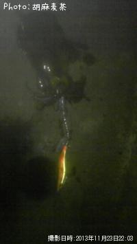 ¥¢¥ª¥ê¥¤¥«