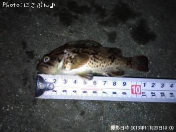 ���ӥ���