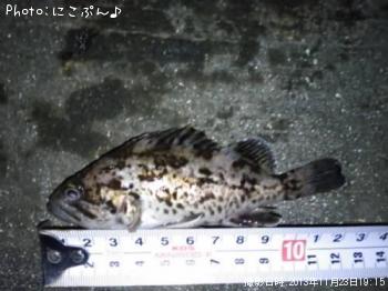 ���ӥ���