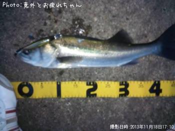 �����Х�