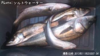 �����Х�