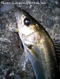 �����Х�