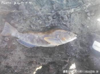 �����ʥ�