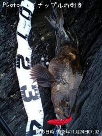 �����ʥ�