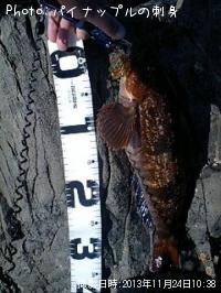 �����ʥ�