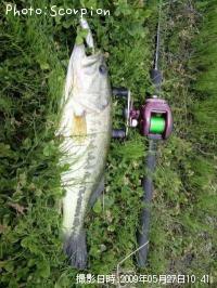 ¥Ö¥é¥Ã¥¯¥Ð¥¹