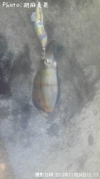 �����ꥤ��