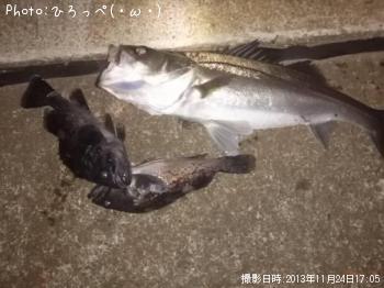 �����Х�