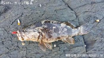 �٥å�������