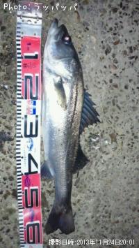 �����Х�