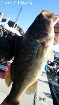 �֥�å��Х�