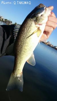 �֥�å��Х�