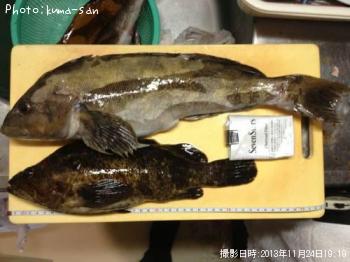 �٥å�������