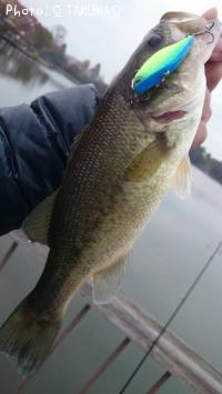 ¥Ö¥é¥Ã¥¯¥Ð¥¹