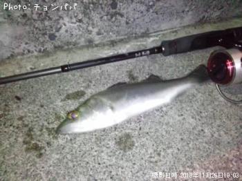 �����Х����ߥ�