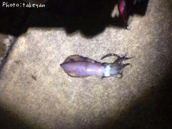 �����ꥤ��