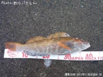 �����ʥ�