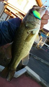 �֥�å��Х�