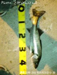 �����Х�