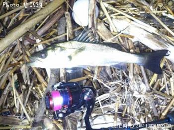 �����Х�