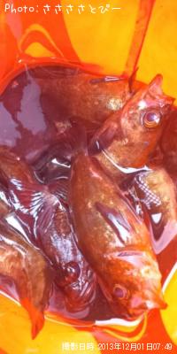 ���ꥢ��Х�