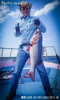 �����ʡ����Х�ե�����