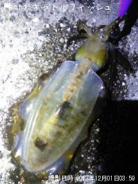 �����ꥤ��