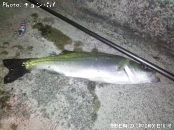 ¥·¡¼¥Ð¥¹¡¡¥ß¥Ë