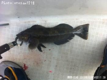 �����ʥ�