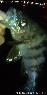 ��Х������