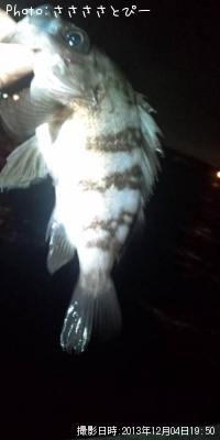 ��Х������