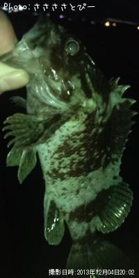 ��Х������