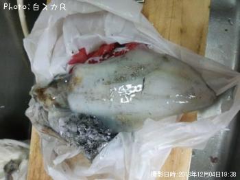 �����ꥤ��