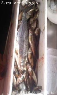 �ϥ��ϥ����������