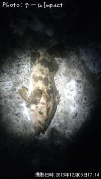 ¥¿¥±¥Î¥³¥á¥Ð¥ë