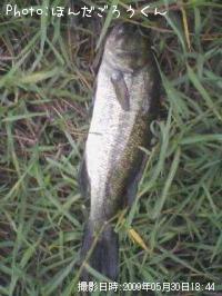 �֥�å��Х�